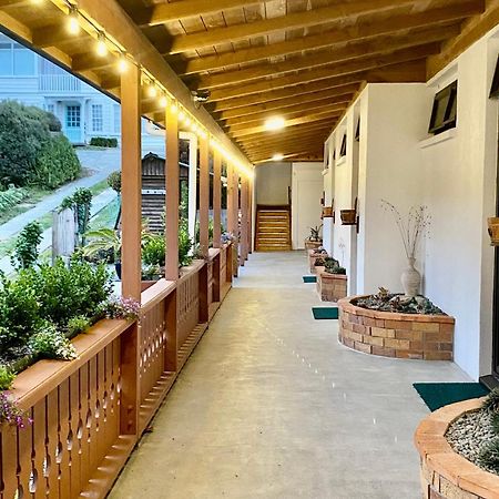 The Swiss Chalet Holiday Apartment 5, Bay Of Islands Paihia Exterior foto